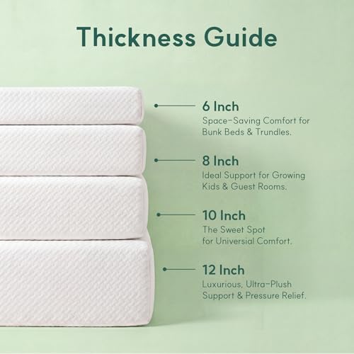 クイーンマットレス、10インチクイーンサイズマットレス、ベー - Memory Foam Mattress In A Box Queen のレビューと価格