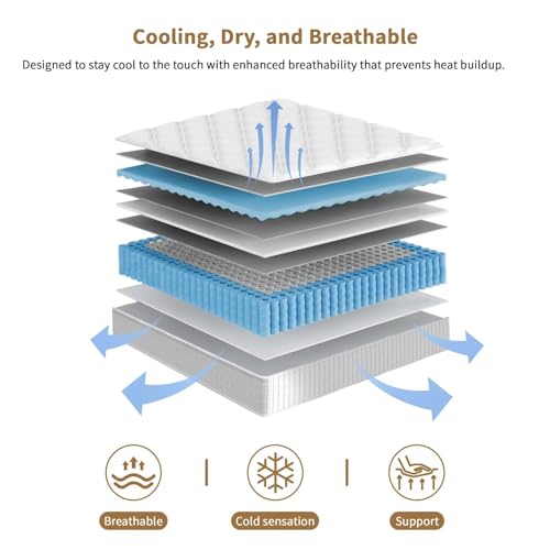 クイーンマットレス、14インチハイブリッドメモリーフォームマ - Memory Foam Mattress In A Box Queen のレビューと価格